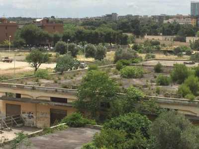L'ex fabbrica della Ferrero si presenta come un capannone a un piano che si estende in lunghezza, sul quale hanno avuto vita facile arbusti e rampicanti di ogni tipo